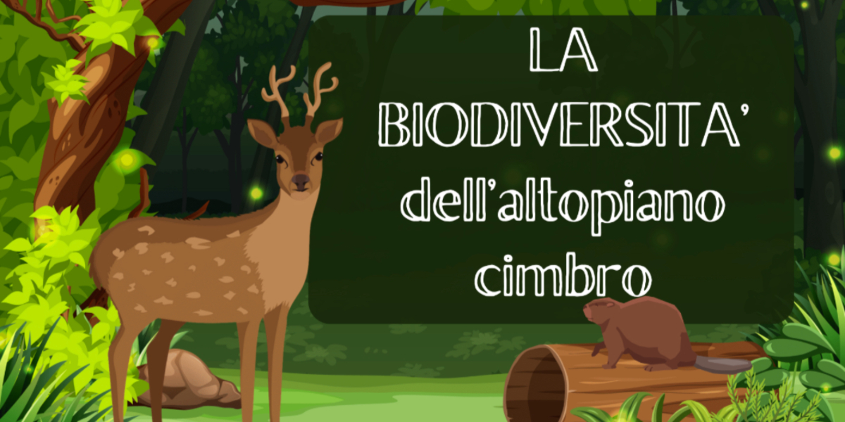 Progetto Multimediale Biodiversita scuola Progetto bee trek