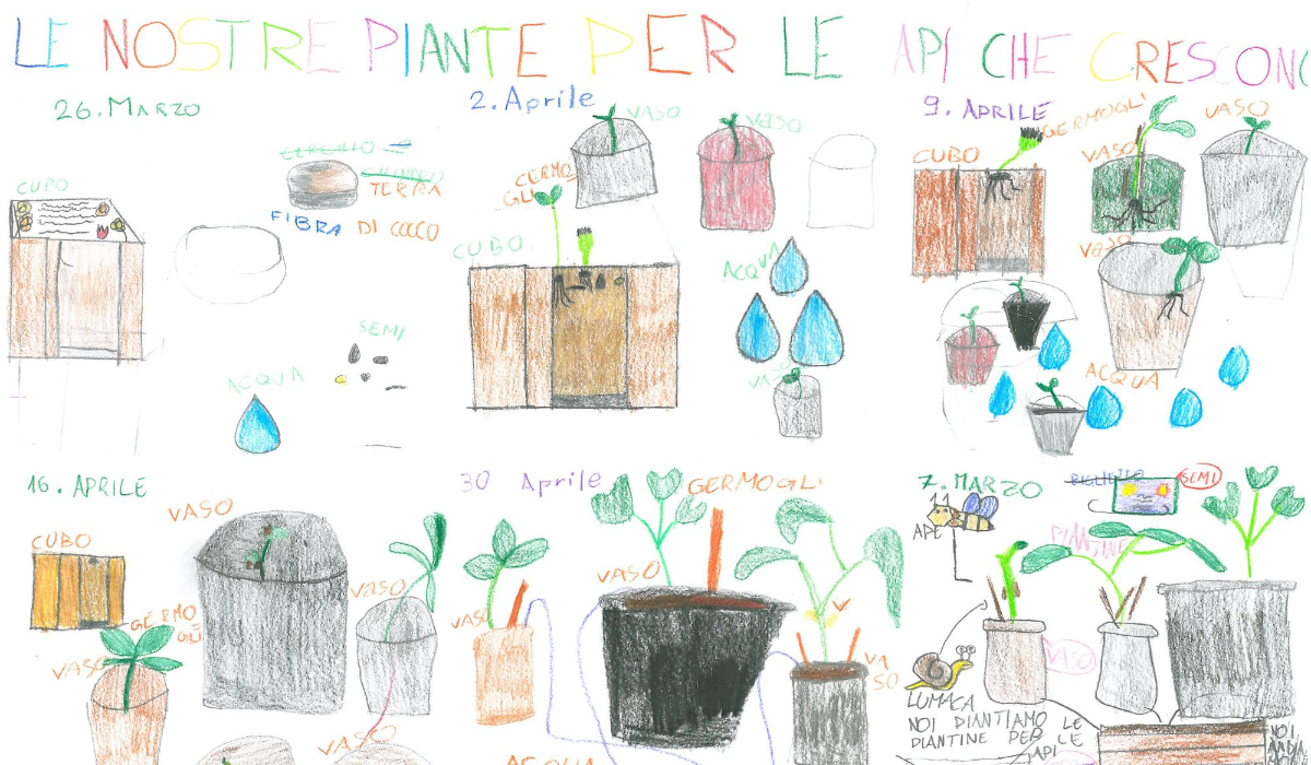 Cortina disegni classe 1a Lavarone - Progetto Bee Trek