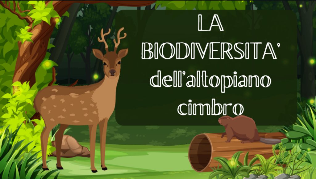 Presentazione multimediale - la biodiversità dell'altopiano cimbro