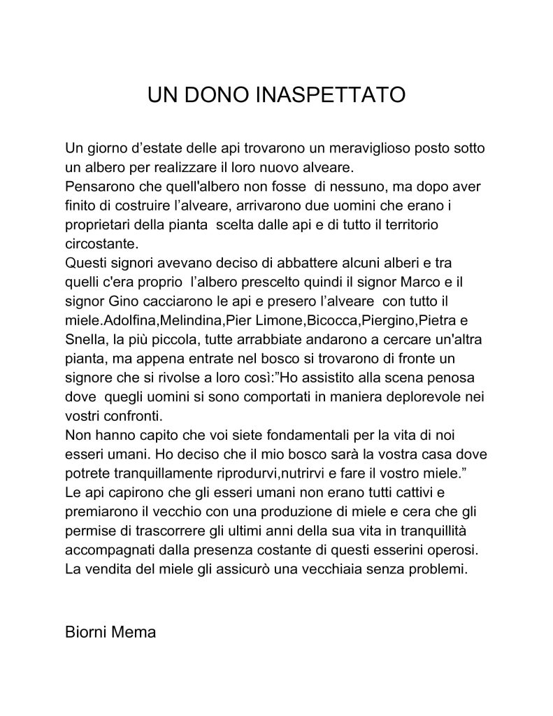 Elaborato 'Un dono inaspettato' di Biorni Mema