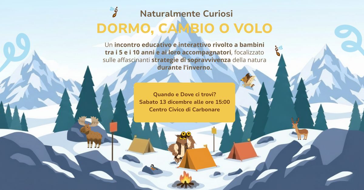 Dormo, cambio o volo? - NATURALMENTE CURIOSI 13 dicembre 2025