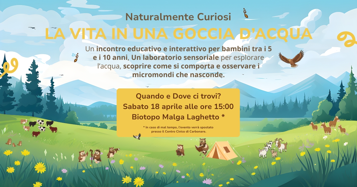 Laboratorio Naturalmente Curiosi "La vIta in una goccia d'acqua"