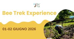 BeeTrekExperience_2026